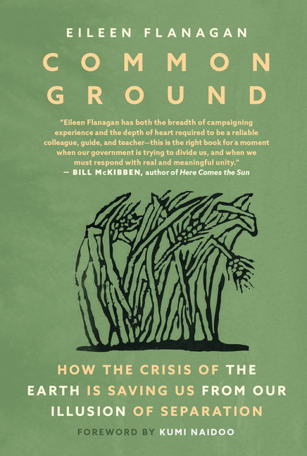 Common Ground: How the Crisis of the Earth Is Saving Us from Our Illusion of Separation