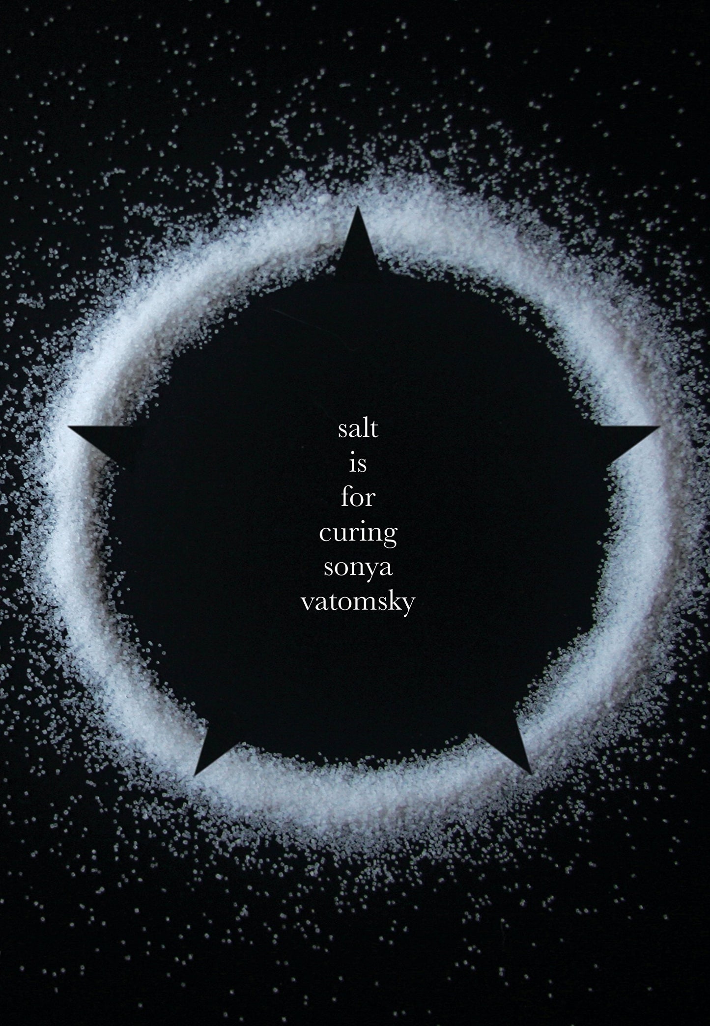 Salt is for Curing, by Sonya Vatomsky