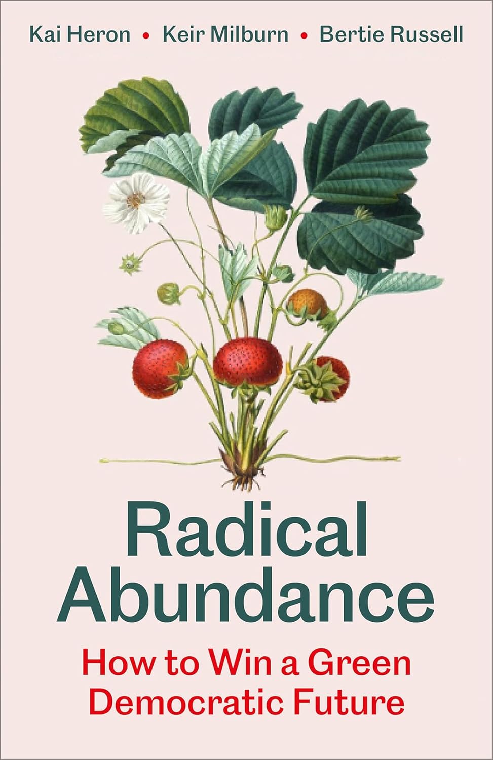 Radical Abundance: How to Win a Green Democratic Future
