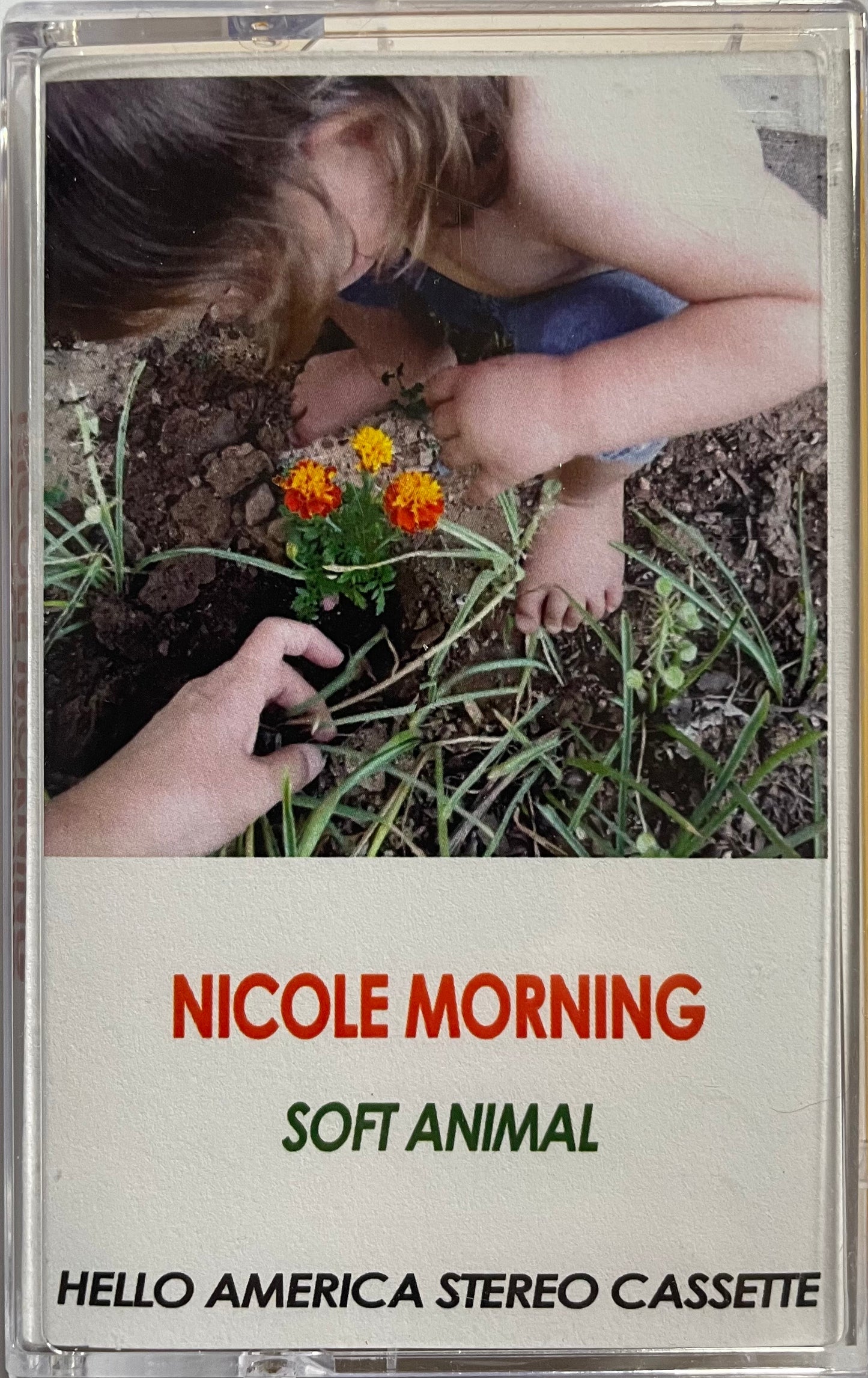Soft Animal, by Nicole Morning