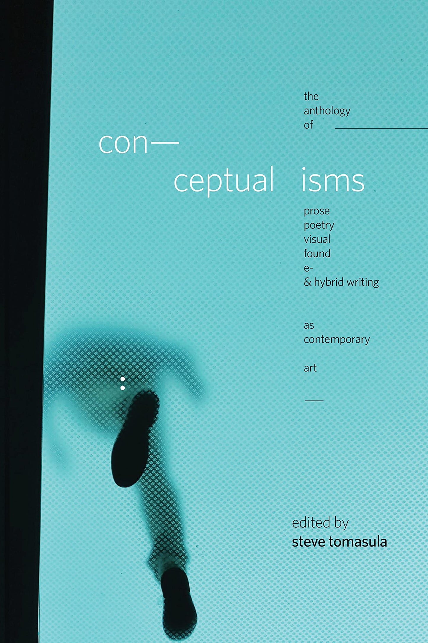 Conceptualisms: The Anthology of Prose, Poetry, Visual, Found, E- & Hybrid Writing as Contemporary Art