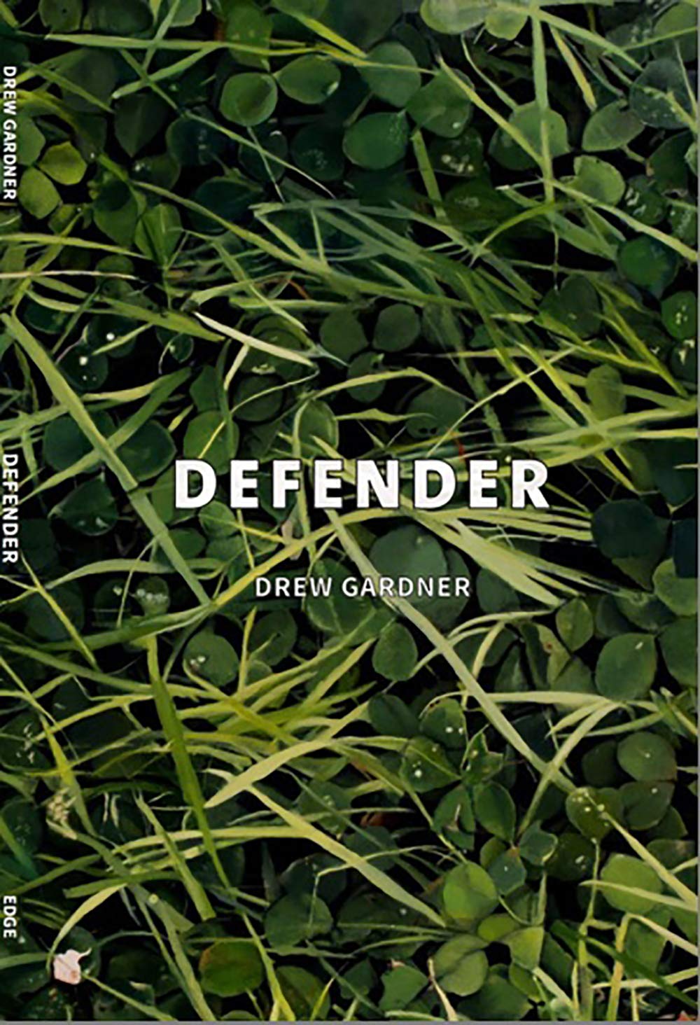 Defender, by Drew Gardner