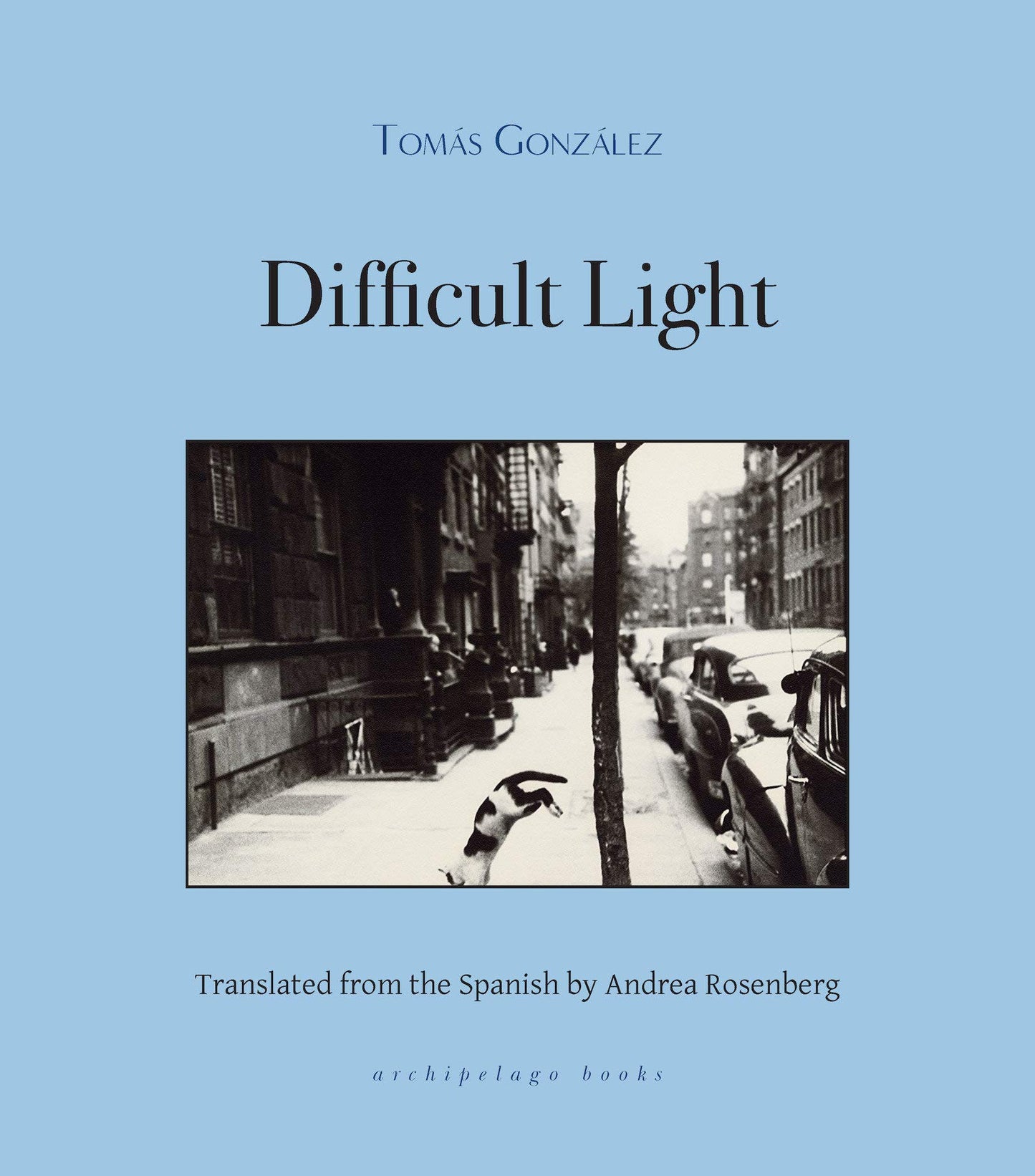Difficult Light, by Tomás González