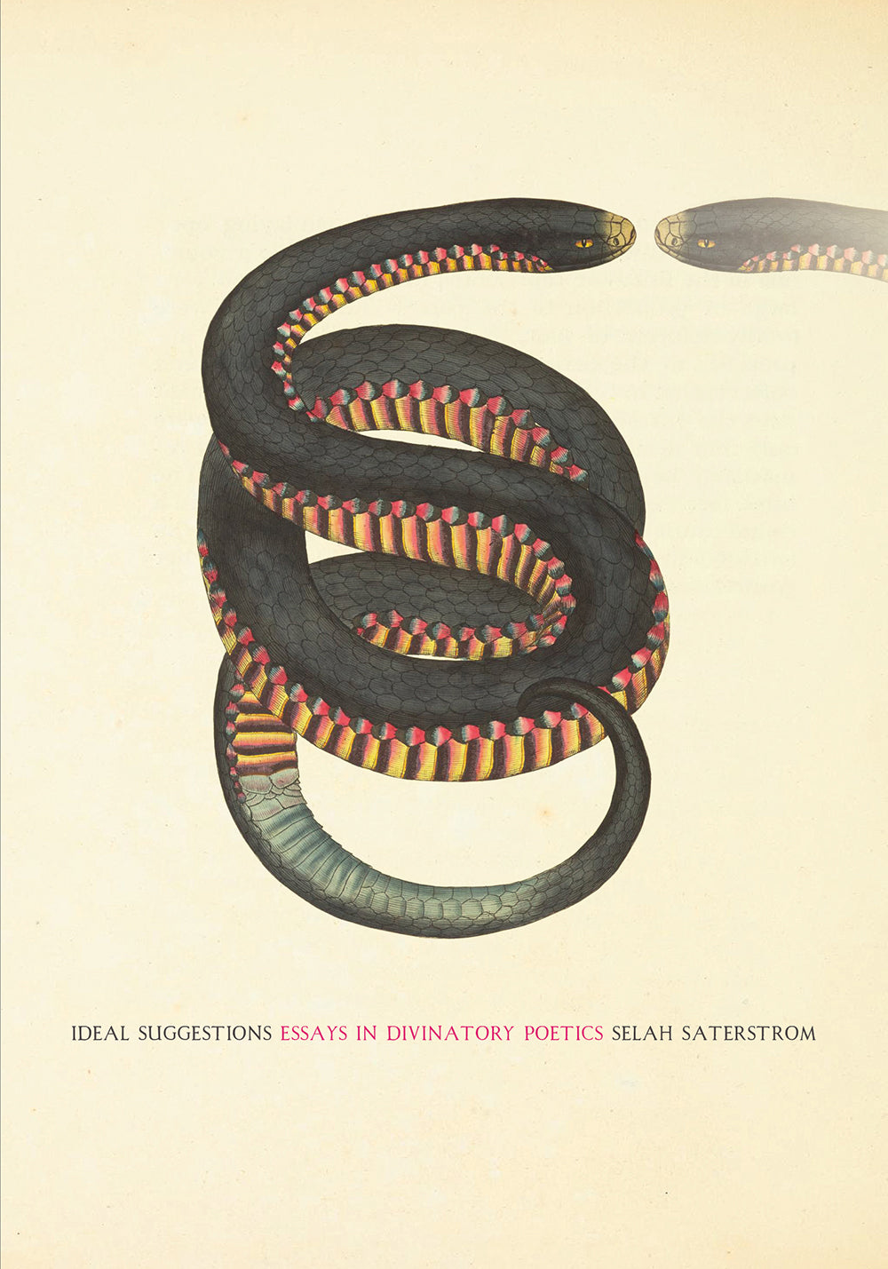 Ideal Suggestions: Essays in Divinatory Poetics, by Selah Saterstrom