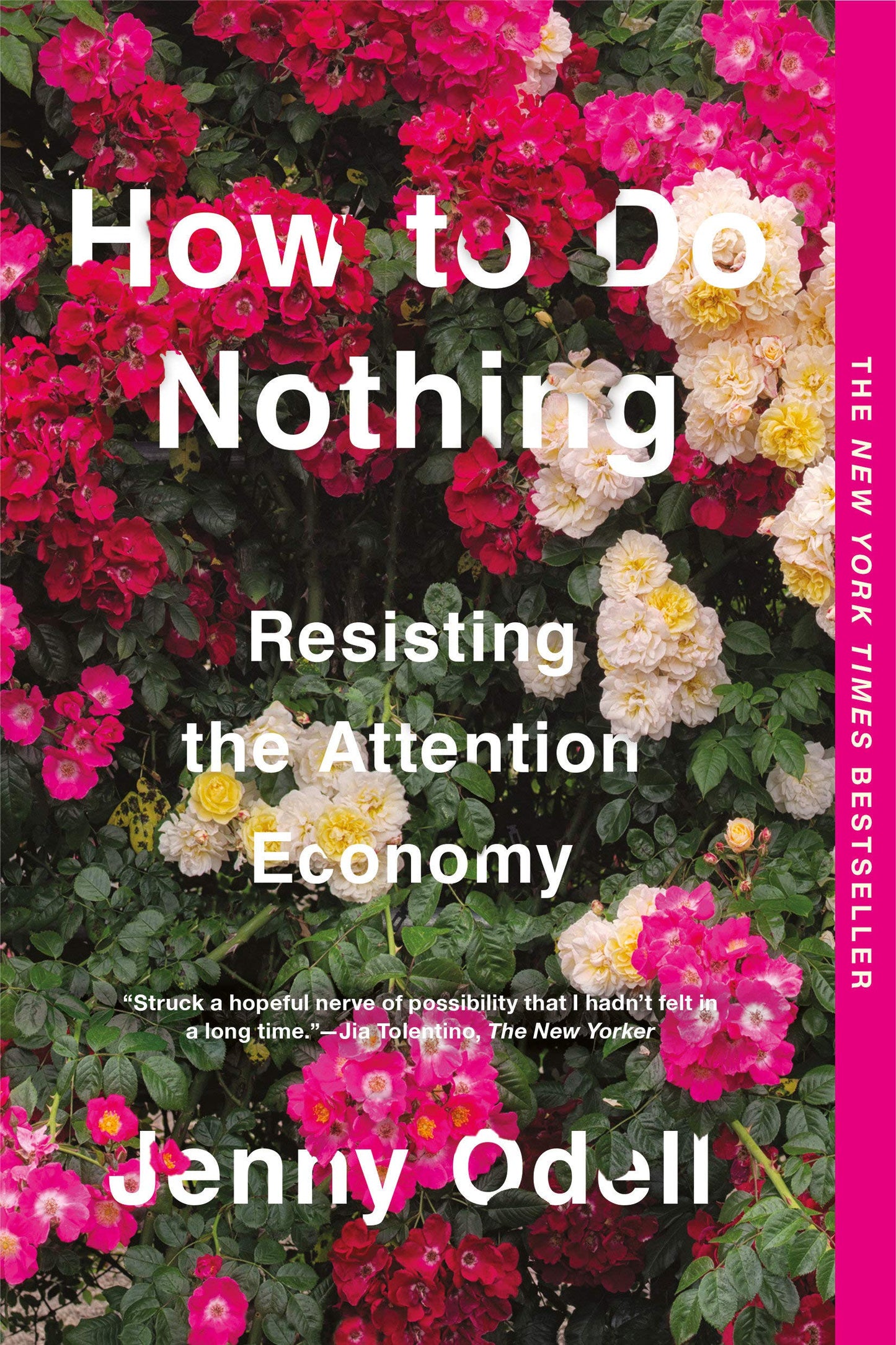 How to do Nothing: Resisting the Attention Economy, by Jenny Odell