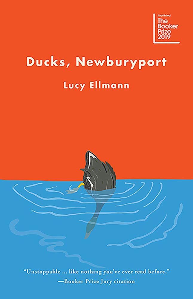 Ducks, Newburyport, by Lucy Ellmann