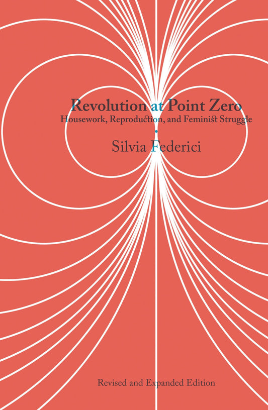 Revolution at Point Zero, by Silvia Federici