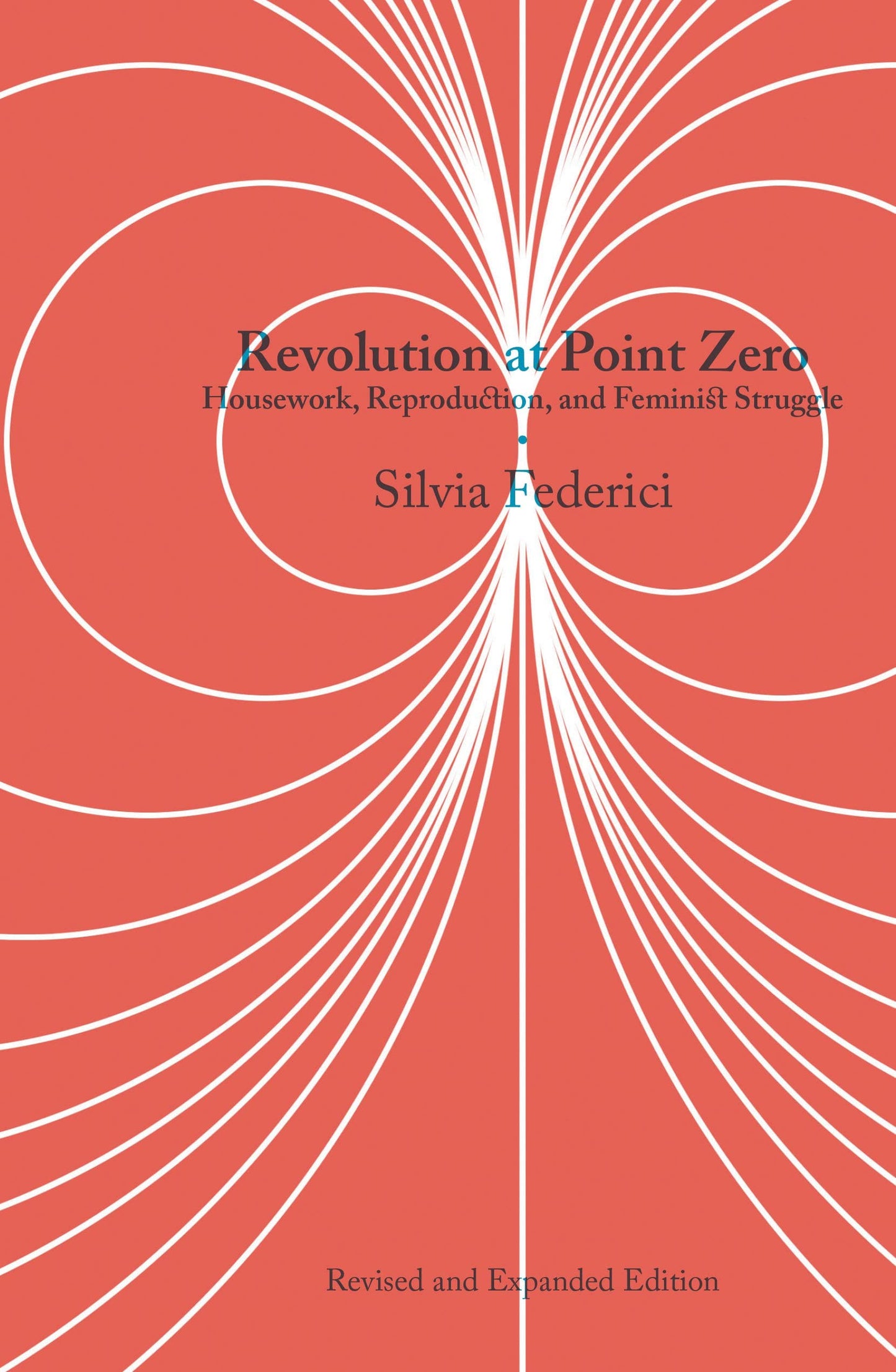 Revolution at Point Zero, by Sylvia Federici