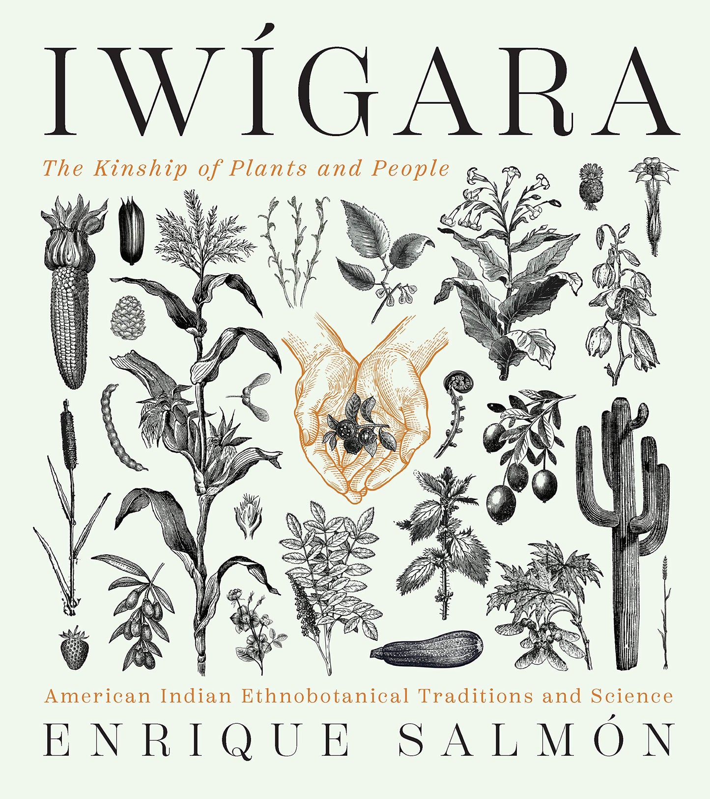 Iwígara: American Indian Ethnobotanical Traditions and Science, by Enrique Salmón