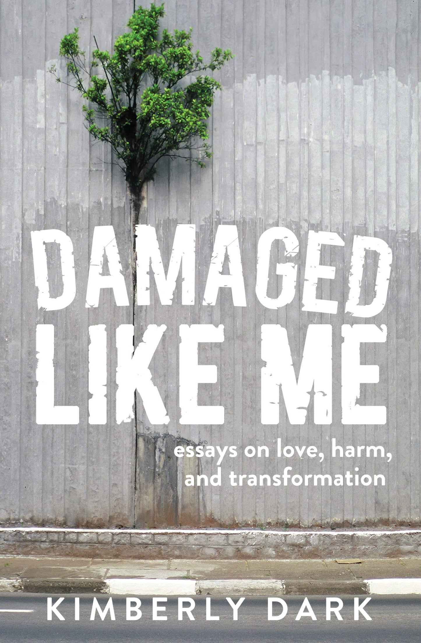 Damaged Like Me, by Kimberly Dark
