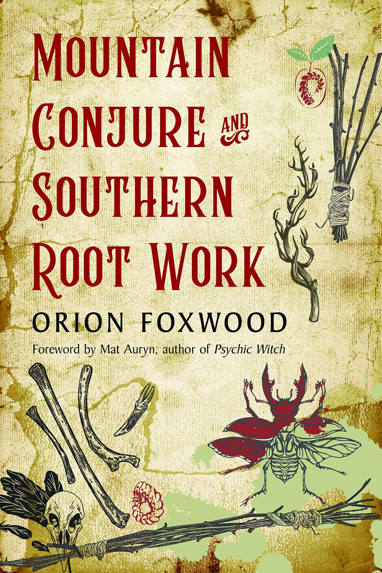 Mountain Conjure and Southern Root Work, by Orion Foxwood